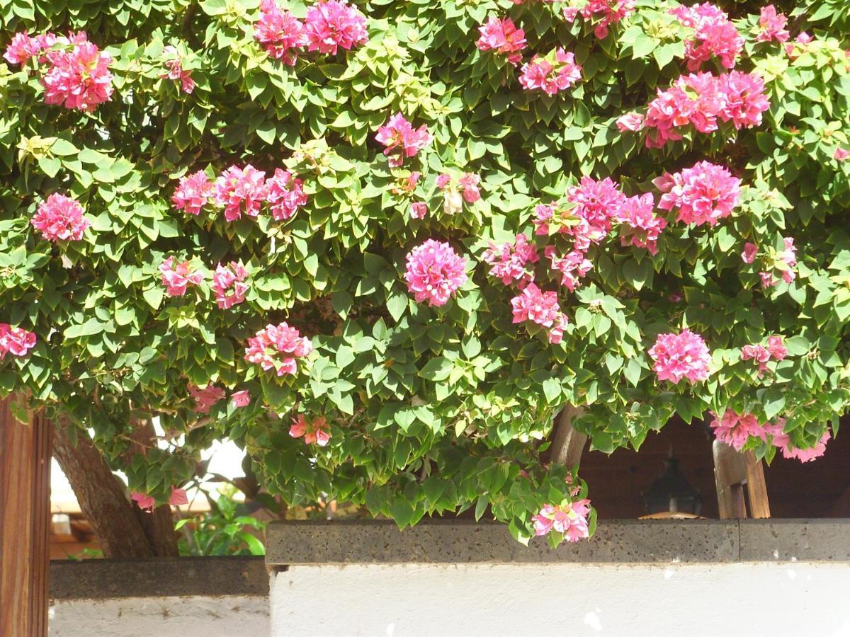 Casa La Tahonilla Appartement Tías Buitenkant foto